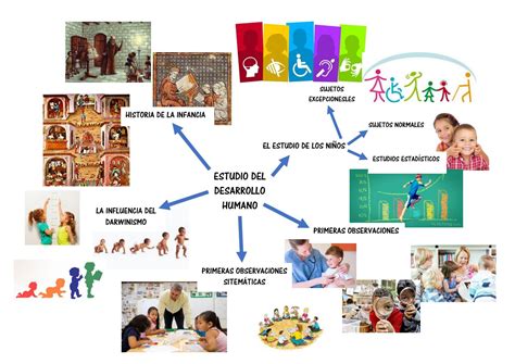 Mapa Mental De Las Etapas Del Desarrollo Humano Rollo Kulturaupice