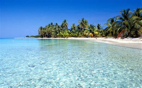 65 Belize Beaches Hd Desktop Wallpapers Download At Wallpaperbro