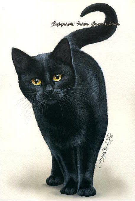 Black Cat Print In Amber Eyes By Irina Garmashova Etsy Cats