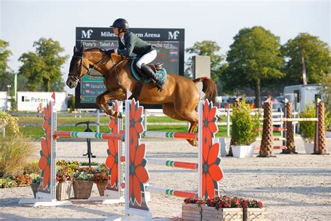Maybe you would like to learn more about one of these? Yannick Janssen van Grunsven Peelbergen Kampioen Ponies ...