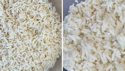 How To Fix Mushy Rice Wet Rice And Salty Rice