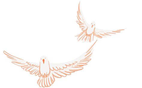 Dove Of Peace Dove Flying Peace Dove Pigeon Animal Png Transparent
