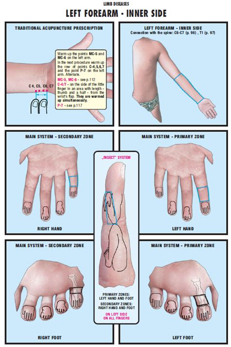 Inner, left outer, right outer, full outer and cross. Sujok Prescription for Forearm 52 - Learn Self Healing ...