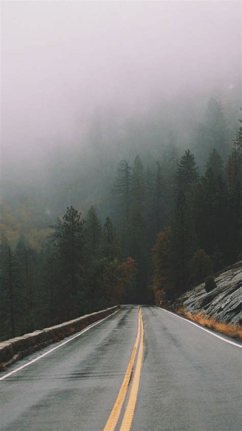 Rain Mist Fog Forest Road Iphone Wallpaper Iphoneswallpapers Com
