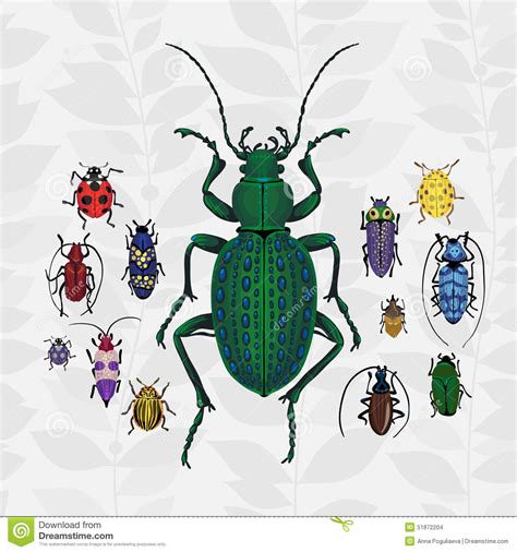 Bright Vector Set With Colorful Bugs Stock Vector