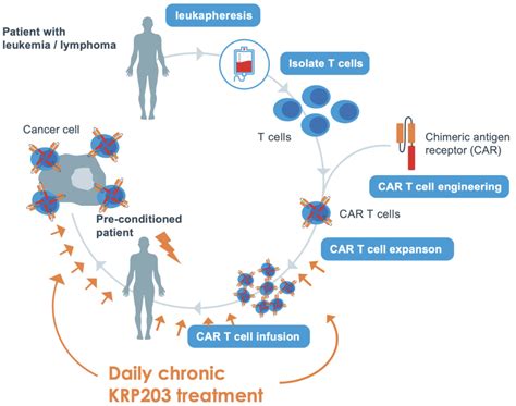 Car T Cell Therapy Priothera