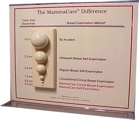 Deluxe Mammacare Lump Display Mammacare Foundation