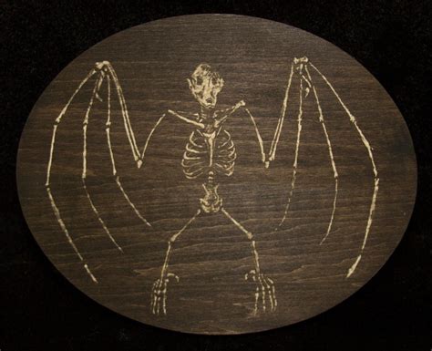 Bat Skeleton By Manifestiv On Deviantart