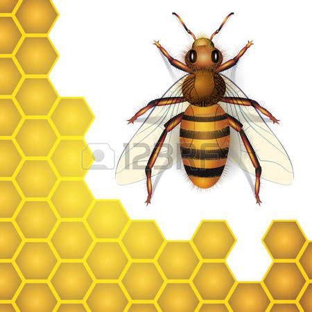 Download Pin on honey vector