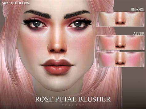 Rose Petal Blusher N09 The Sims 4 Catalog