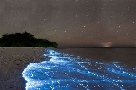 Khususnya bagi kalian yang masih belajar membuat sketsa harus mencoba membuat sketsa ini. Gambar Pantai Waktu Malam - Gambar Pemandangan Indah