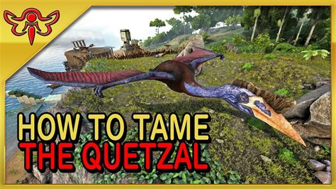 ARK Survival Evolved Tutorial How To Solo Tame The Quetzal YouTube