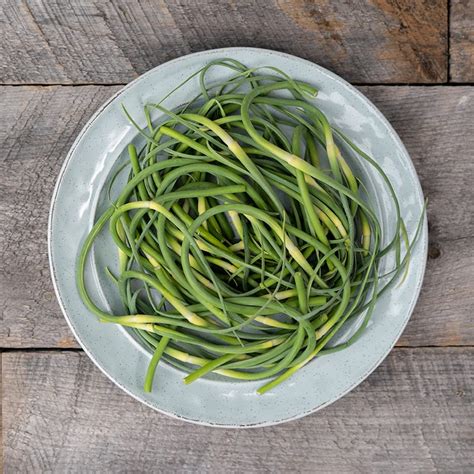 Garlic Scapes Cookstown Greens Organic Produce In Toronto And Gta