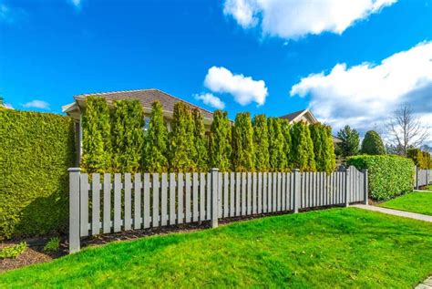 Cheap Ways To Block Your Neighbours View Au