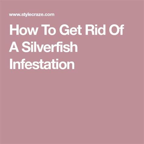 Get rid of the dampness and humidity. How To Get Rid Of A Silverfish Infestation | How to get ...