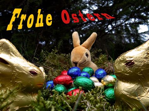 Frohe Ostern Foto And Bild Gratulation Und Feiertage Karten Und
