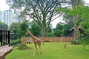 Bandung Zoo, Edutainment Show & Entrance Fee - IdeTrips