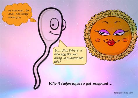 30 percent get pregnant within the first cycle (about one month). So that's why it takes so long | Getting pregnant ...