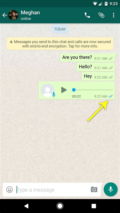How To Tell If Someone Has Read Your Whatsapp Message—even If They Have