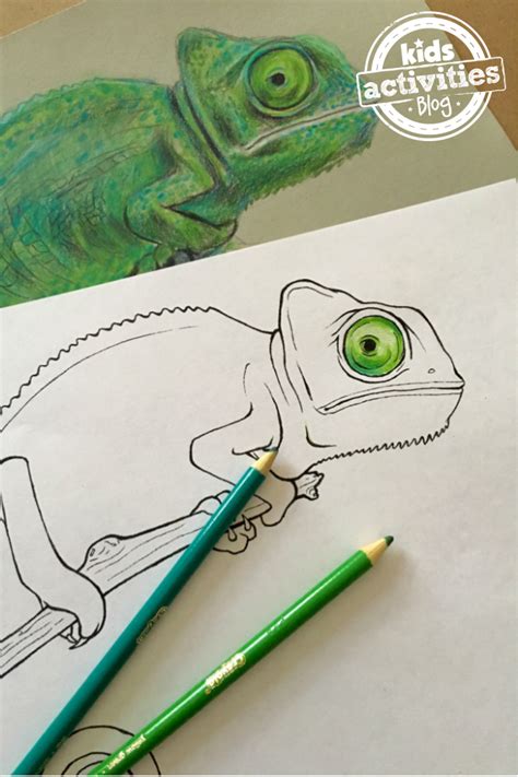 Our interactive activities are interesting and help children develop important skills. Chameleon Coloring Pages for Kids