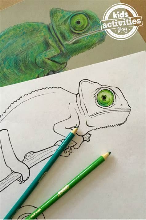 More baby & kid posts. Chameleon Coloring Pages for Kids