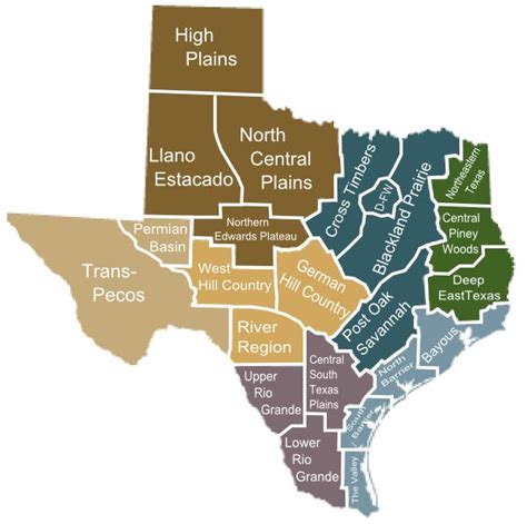 Txsubregionspng 600×597 Pixels Texas Map Texas Roadtrip Texas Sunset