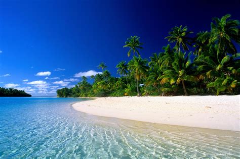 Sand Water Sky And Palm Tree Hd Wallpaper Background Image 2000x1333