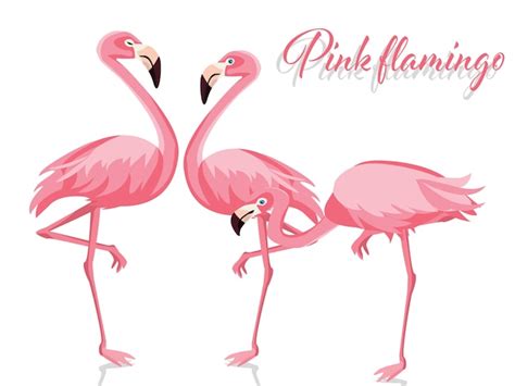 Premium Vector Vector Illustration Of Pink Flamingo