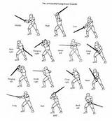 Different Sword Fighting Styles Pictures