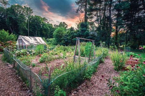 This Therapeutic Garden Is Just What The Doctor Ordered Rhode Island