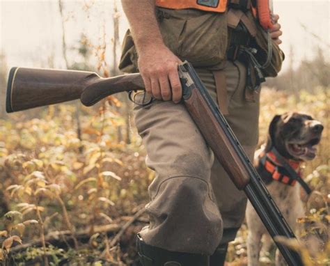 Upland Shotguns Which Shotgun Is Right For Bird Hunting