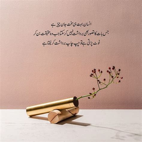 Urdu Heart Touching Line Quotes Words Heart Felt Quotes Heart