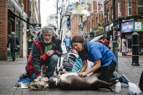 Blue Cross Volunteer Vet Hits The Streets To Help Pets Of Londons