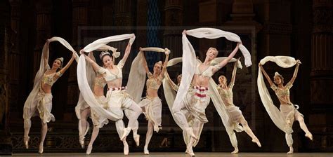 La Bayadere Royal Ballet Ballet Costumes Photography Services