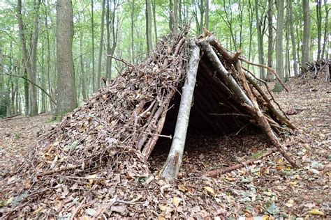 How To Build A Permanent Shelter In The Wilderness