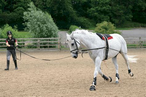 Equine Rehab How Lungeing Can Help