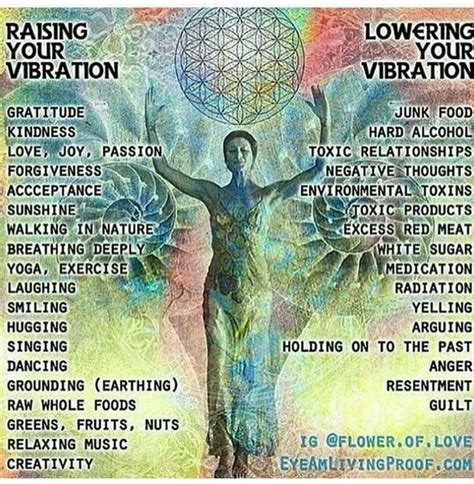 Raising Vs Lowering Your Vibration Spirituality Law Of Attraction