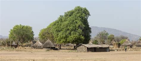 Rural Village In South Sudan Stock Photo Image Of Countryside Sudan