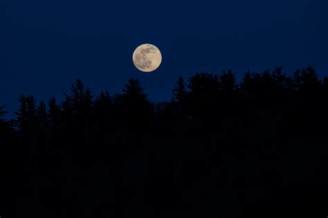 Wallpaper Moon Full Moon Trees Silhouettes Night Dark Hd