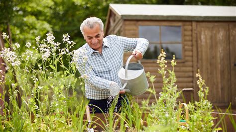 6 Big Benefits Of Gardening For Seniors Seniors Guide