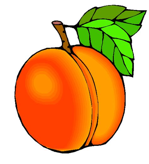 Fuzzy Peaches Clip Art Images Free Clipart Images Image 31469
