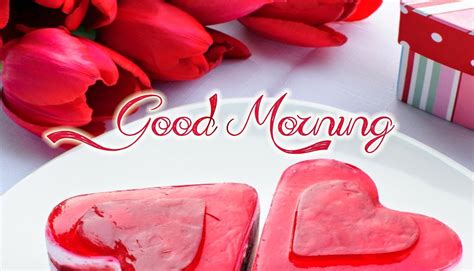 Good morning my love sms messages - Morning Love SMS