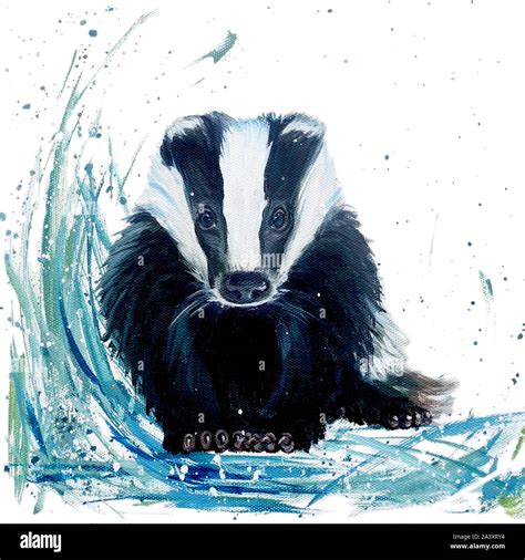 Painting Of A Cute Badger Sitting Stock Photo Alamy