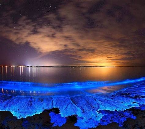 Japan Explorer On Instagram Toyama Bay Toyama La Bioluminescenza è