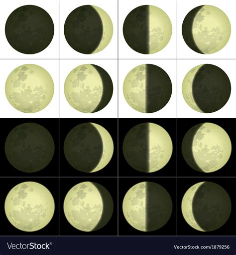 Moon Phases Set Royalty Free Vector Image Vectorstock