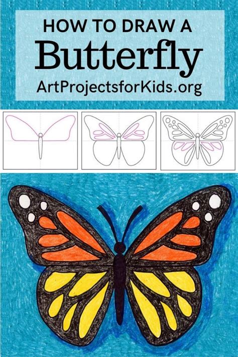 How To Draw A Butterfly Easy Art Lesson For Beginners Pencil Sketch