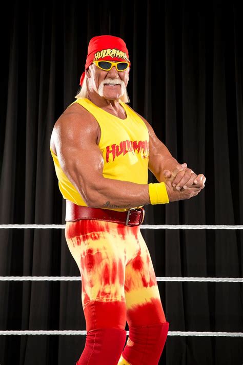 Wwe Hulk Hogan Mirror Online