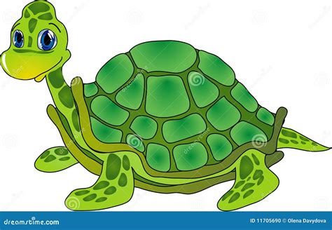 Cartoon Tortoise Vector Illustration 11705690