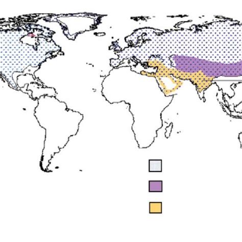 Map Of Wolf Distribution In The Northern Hemisphere Showing Historical