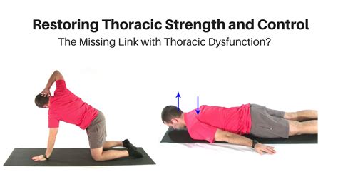 Thoracic Extension Strength And Control My Rehab Connection